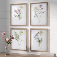 four framed prints of wildflowers on a wall