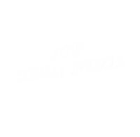 2018 sorella boutique logo on a black background